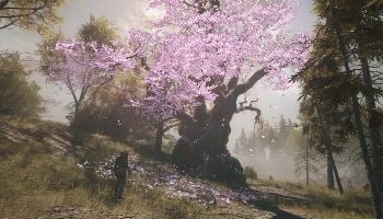 Soulframe Shows Off Bow Rework in Latest Short – Hints at What’s to Come